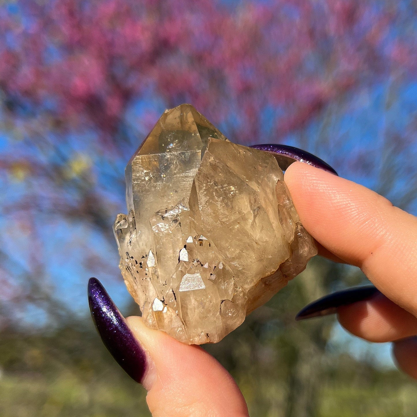 Elestial Congo Citrine Cluster