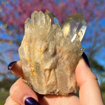 Elestial Congo Citrine Cluster