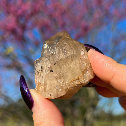 Elestial Congo Citrine Cluster