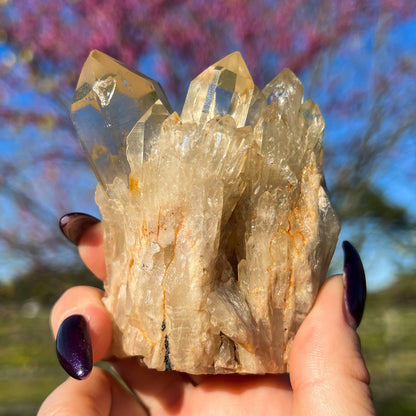 Elestial Congo Citrine Cluster