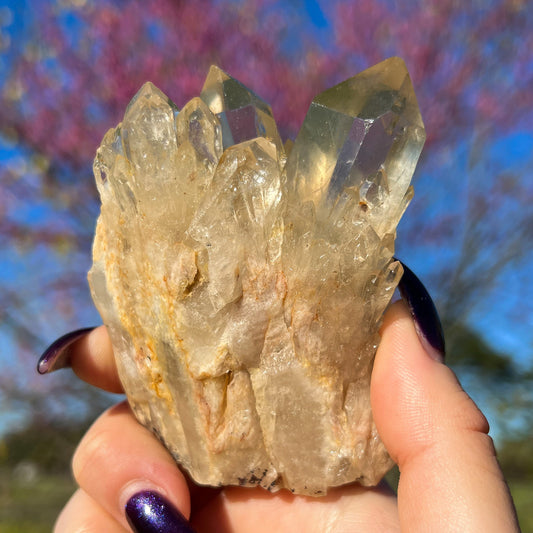 Elestial Congo Citrine Cluster