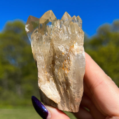 Elestial Congo Citrine Cluster