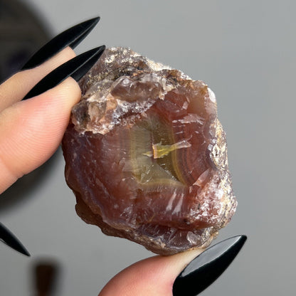 Mexican Laguna Agate