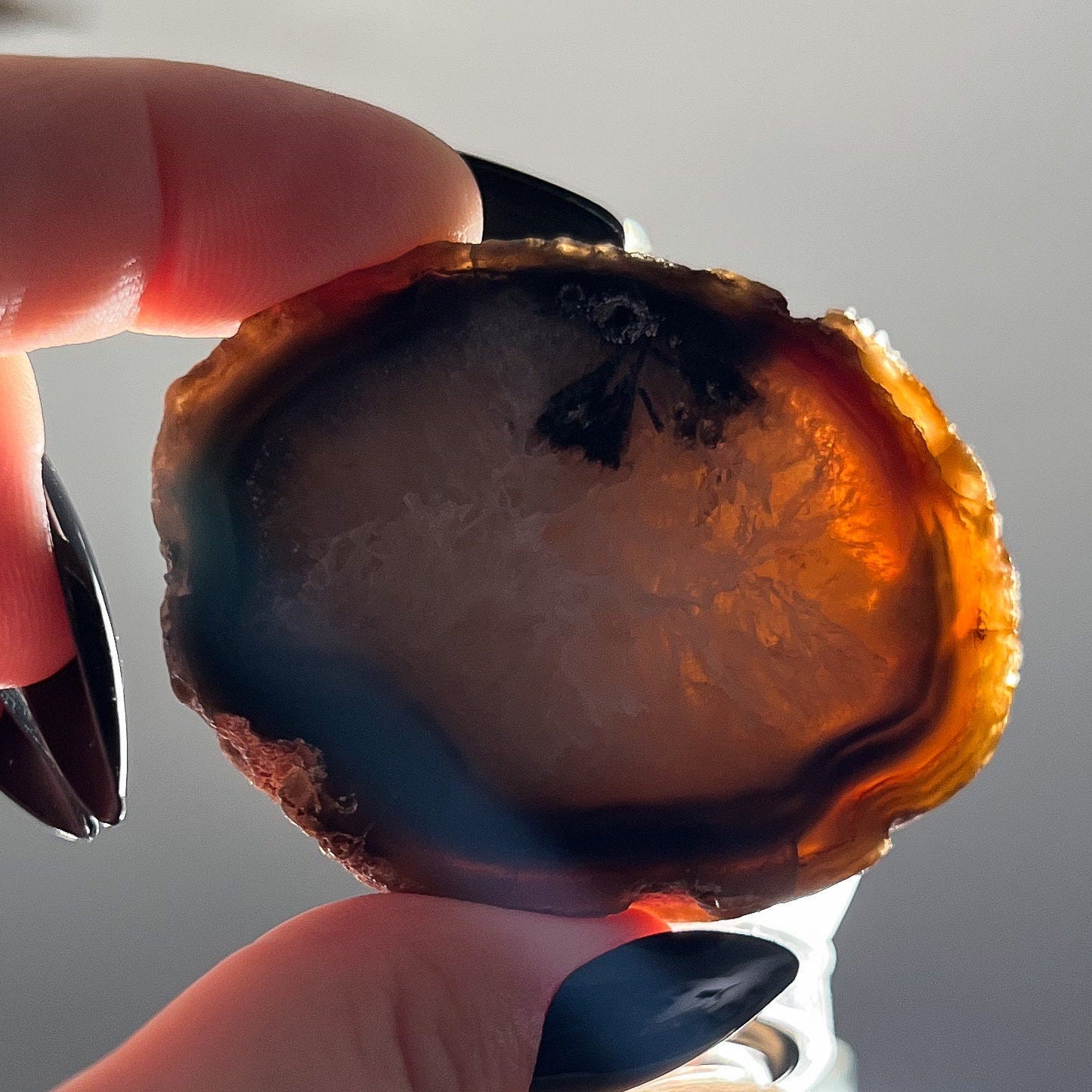 Mexican Laguna Agate