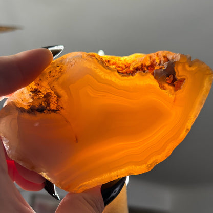 Mexican Laguna Agate