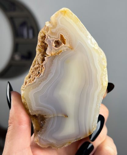 Mexican Laguna Agate
