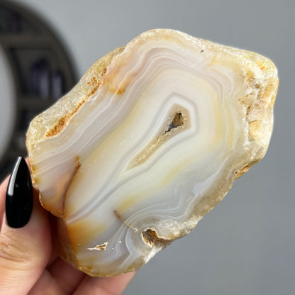 Mexican Laguna Agate