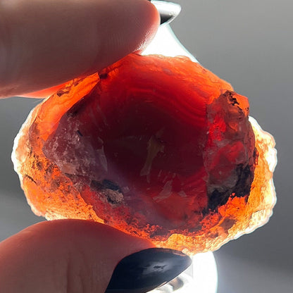 Mexican Laguna Agate