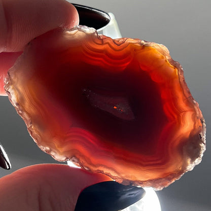 Mexican Laguna Agate