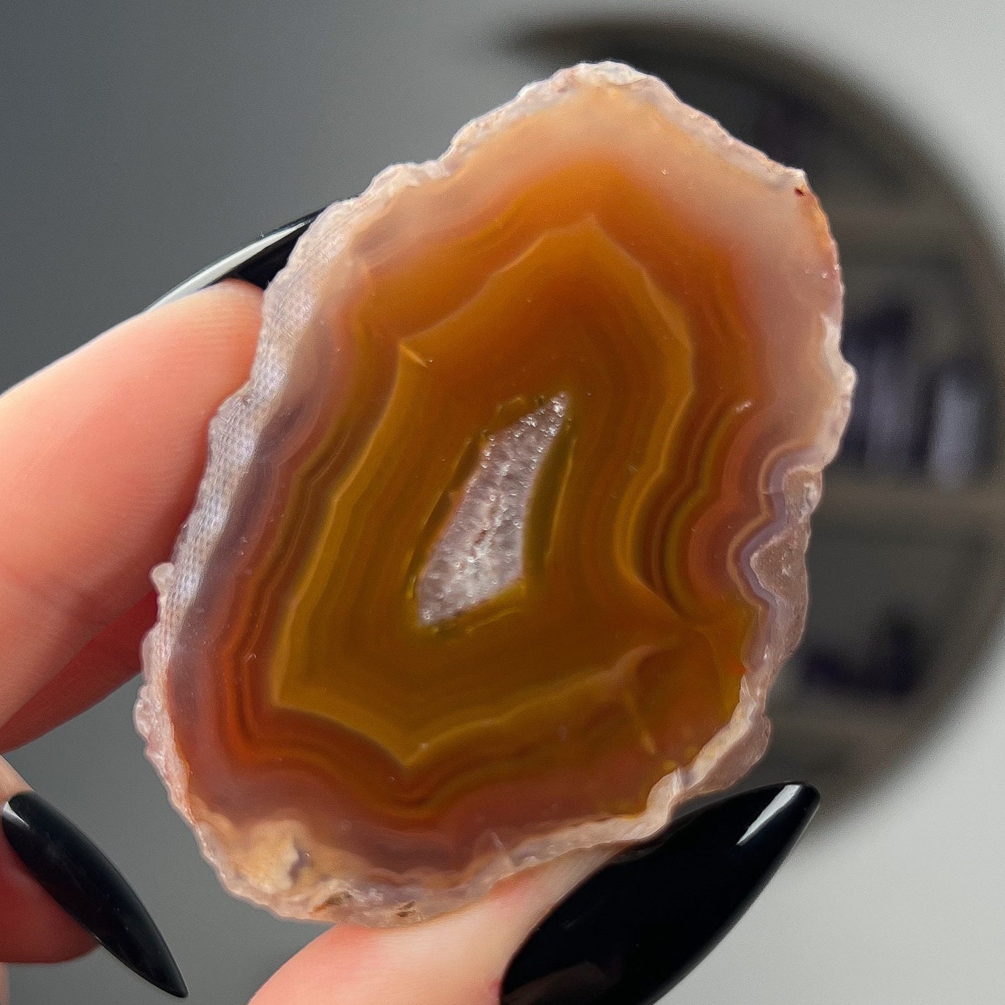 Mexican Laguna Agate
