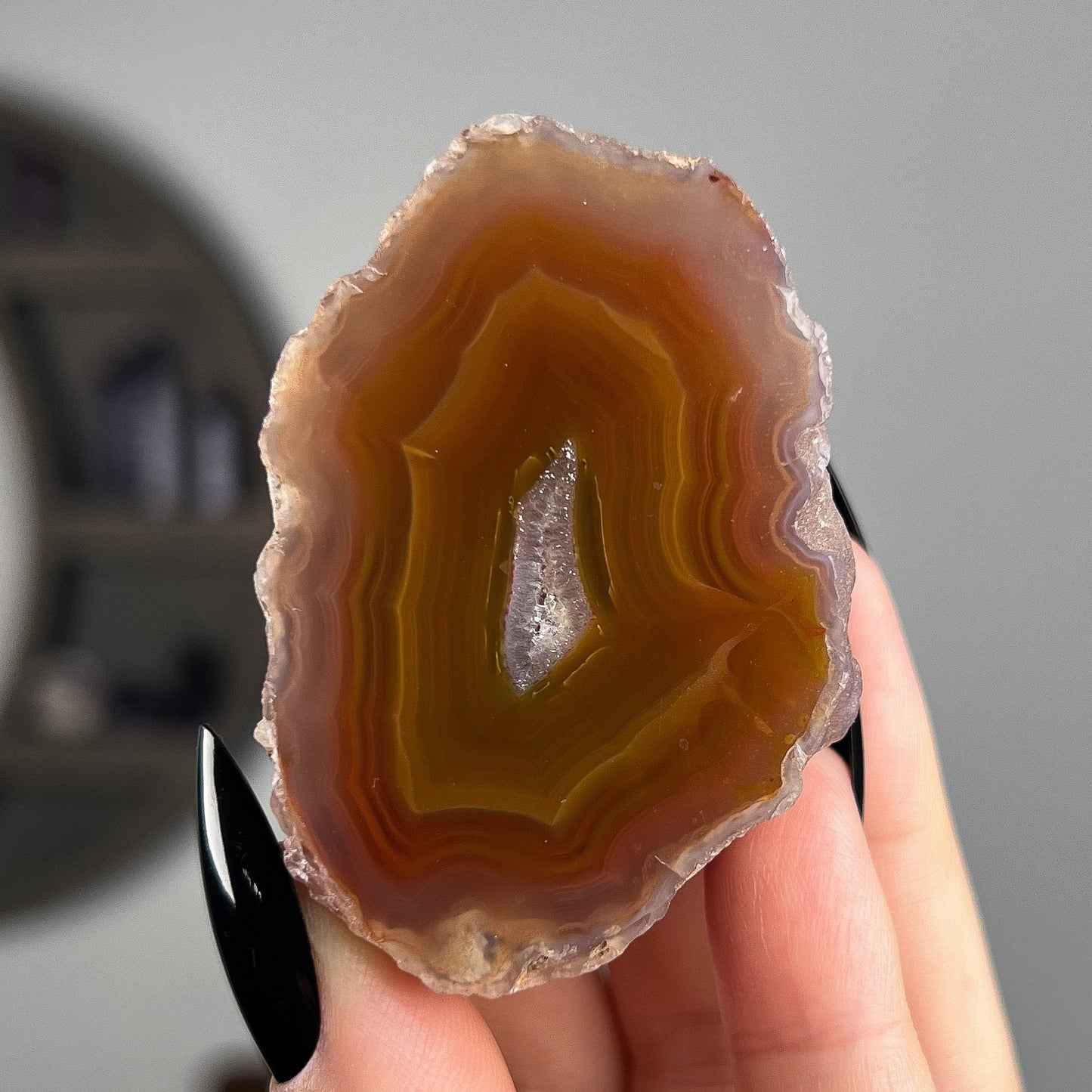 Mexican Laguna Agate