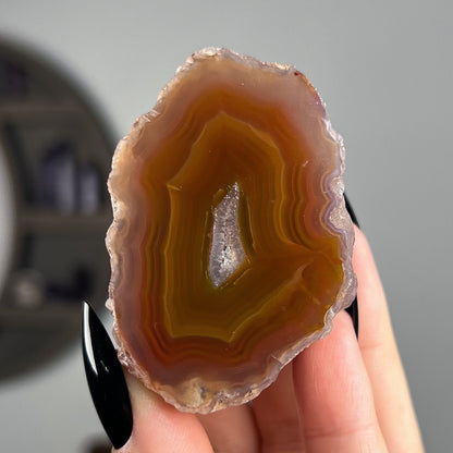 Mexican Laguna Agate