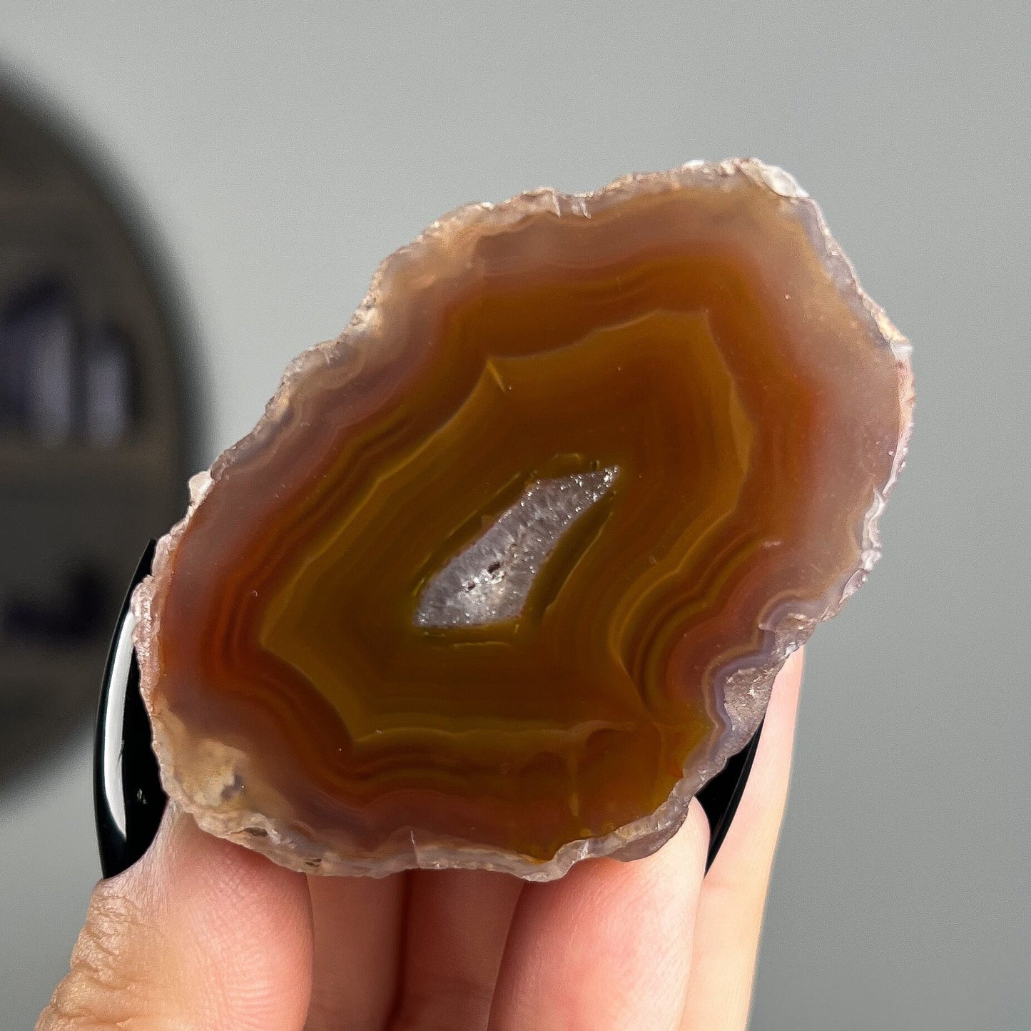 Mexican Laguna Agate