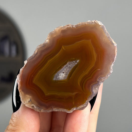 Mexican Laguna Agate