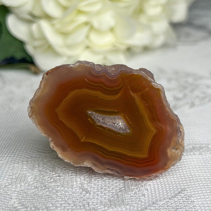 Mexican Laguna Agate