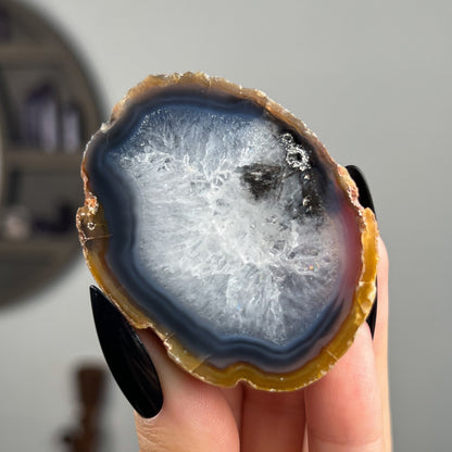 Mexican Laguna Agate
