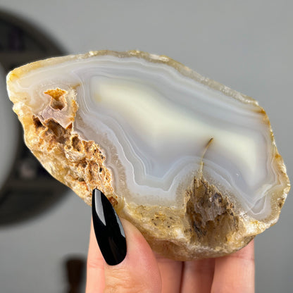 Mexican Laguna Agate