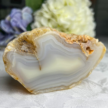 Mexican Laguna Agate