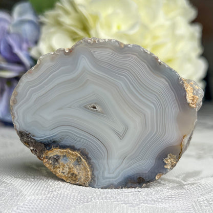 Mexican Laguna Agate