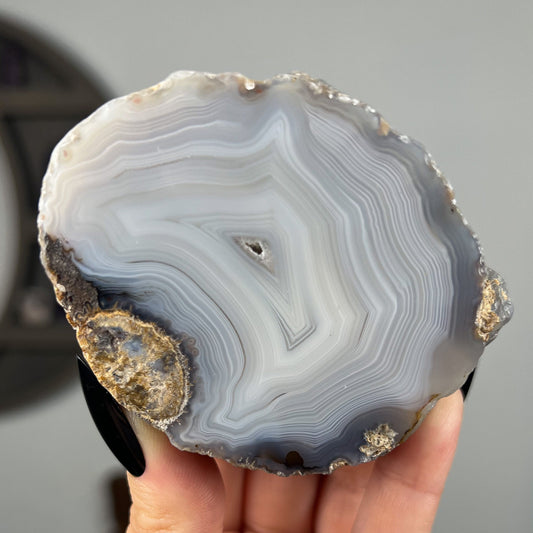 Mexican Laguna Agate