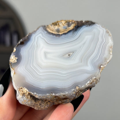 Mexican Laguna Agate