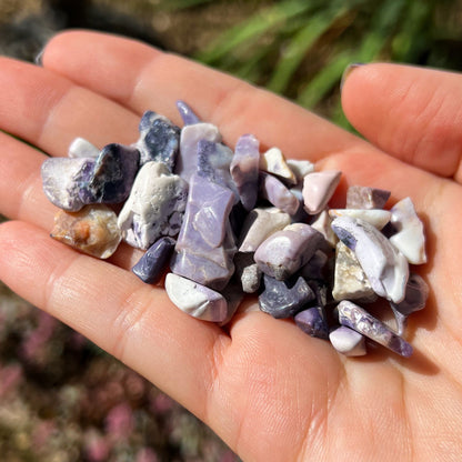 Tiffany Stone Chips