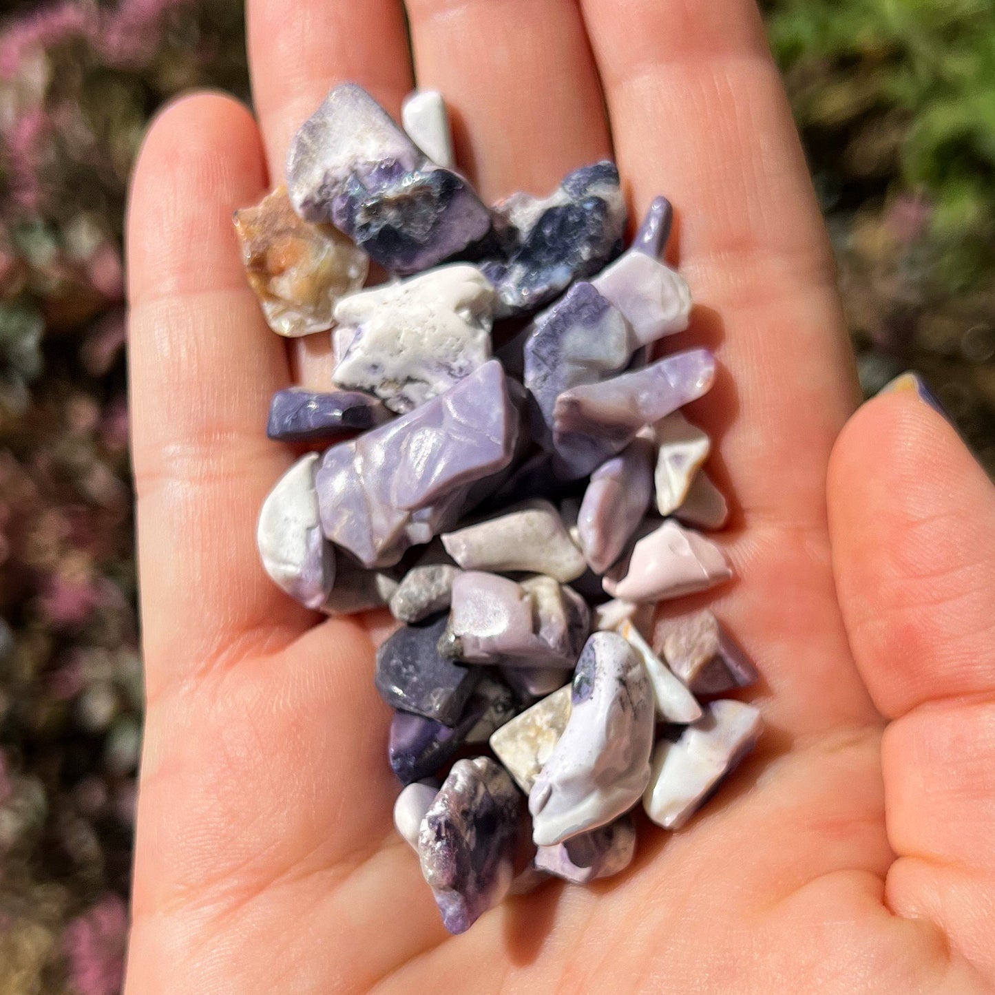 Tiffany Stone Chips