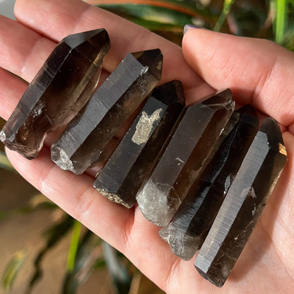 Smoky Quartz Lemurian Points