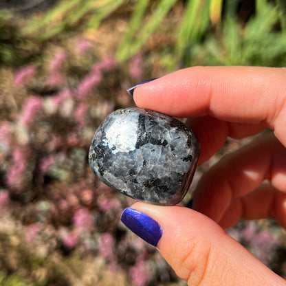 Larvikite Tumbles