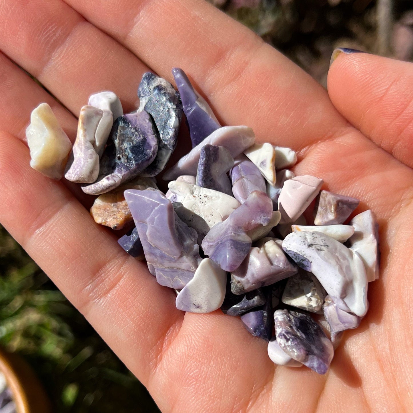 Tiffany Stone Chips