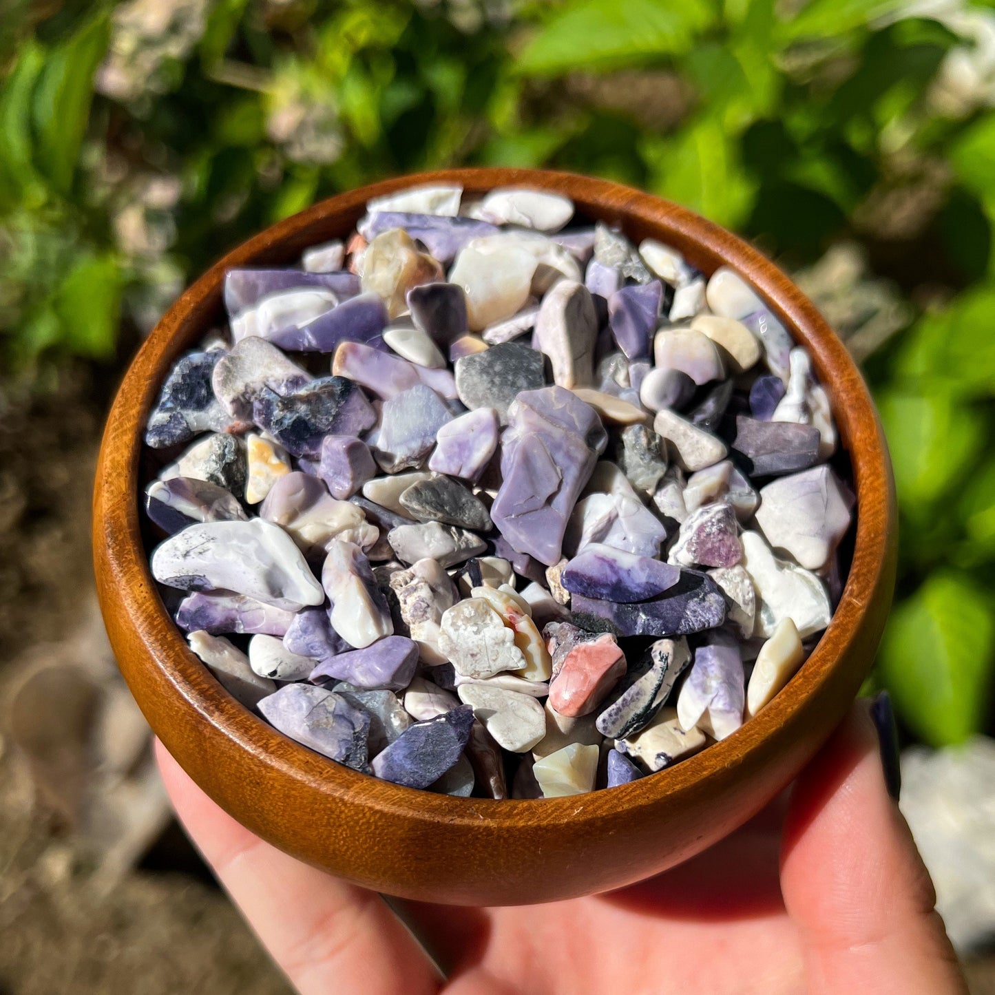 Tiffany Stone Chips