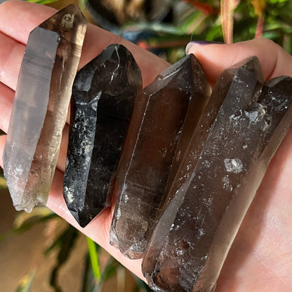 Smoky Quartz Lemurian Points