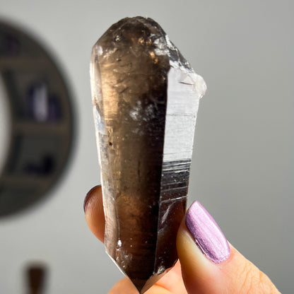 Smoky Quartz Lemurian Points
