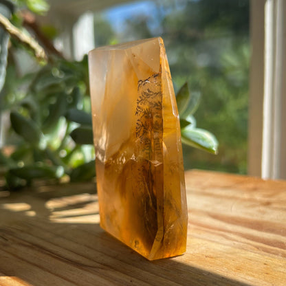 Dendrites in Golden Healer Quartz Freeform
