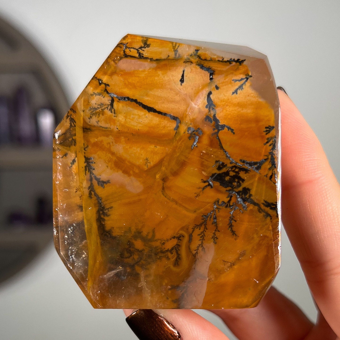 Dendrites in Golden Healer Quartz Freeform