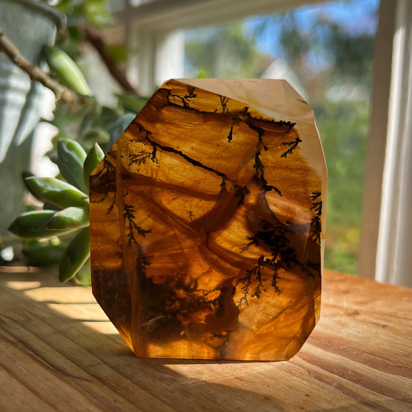 Dendrites in Golden Healer Quartz Freeform