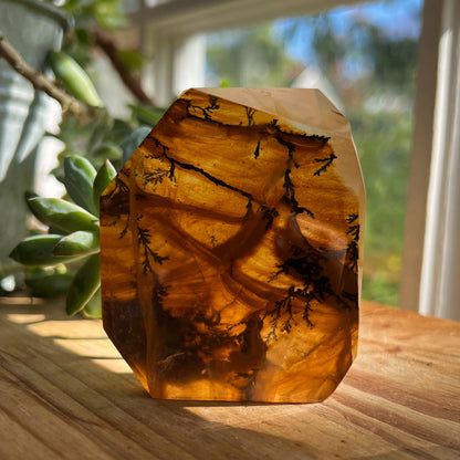 Dendrites in Golden Healer Quartz Freeform