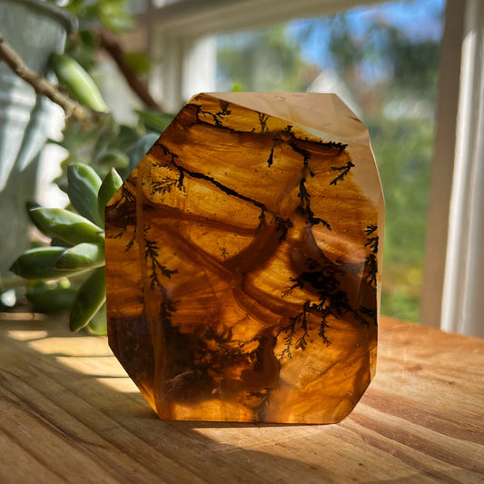 Dendrites in Golden Healer Quartz Freeform