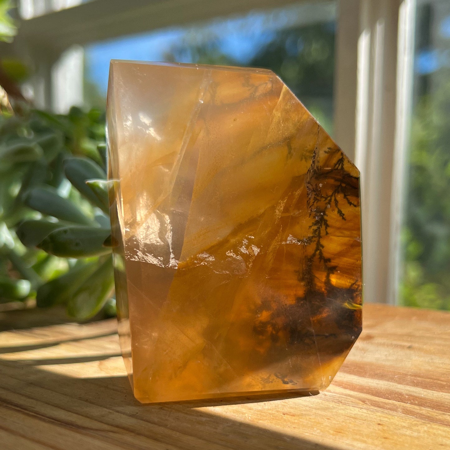 Dendrites in Golden Healer Quartz Freeform