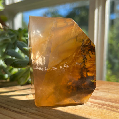 Dendrites in Golden Healer Quartz Freeform