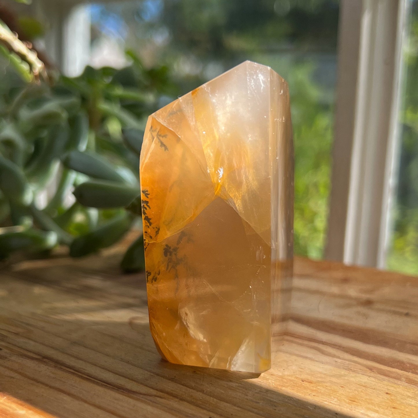 Dendrites in Golden Healer Quartz Freeform
