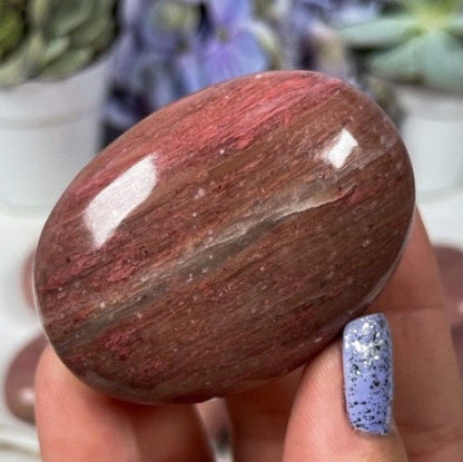 Pink Petrified Wood Palm Stones