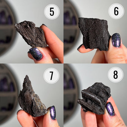 Fossilized Druzy Wood