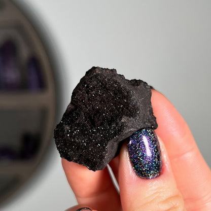 Fossilized Druzy Wood