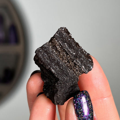 Fossilized Druzy Wood
