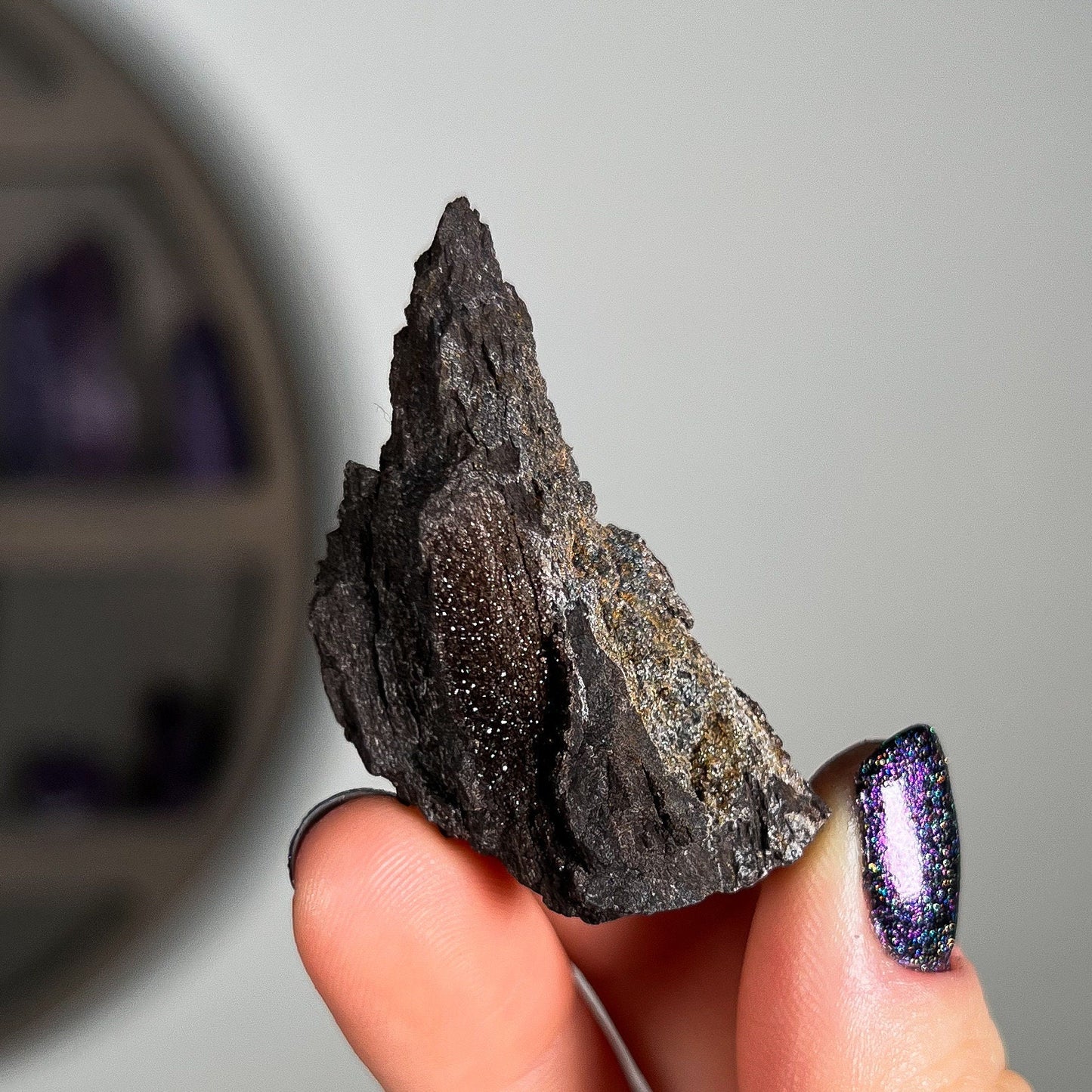 Fossilized Druzy Wood