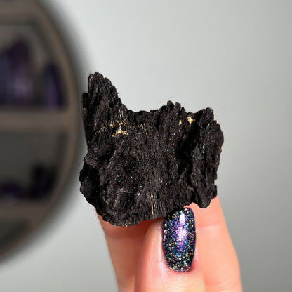 Fossilized Druzy Wood