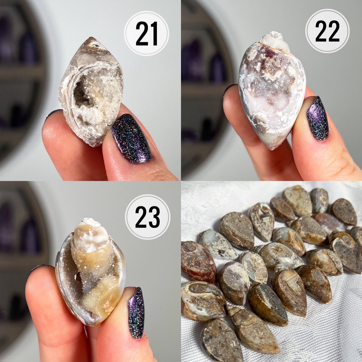 Druzy Fossilized Shells
