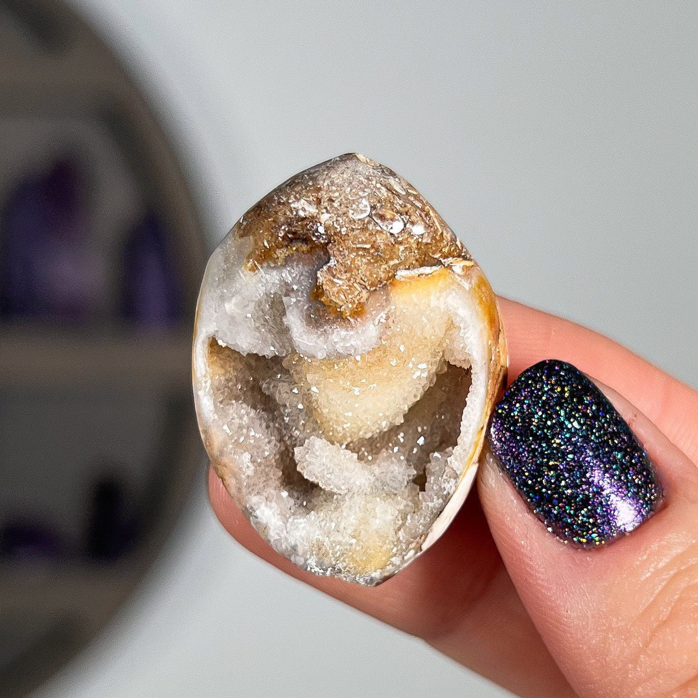Druzy Fossilized Shells