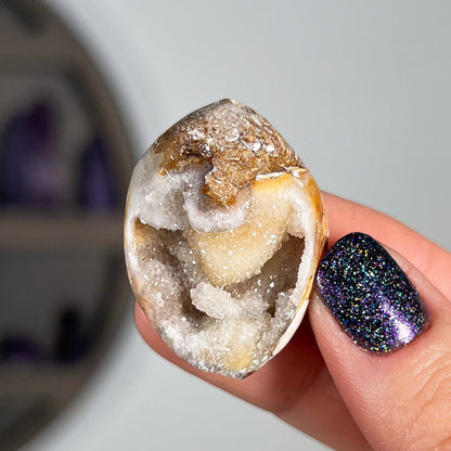 Druzy Fossilized Shells